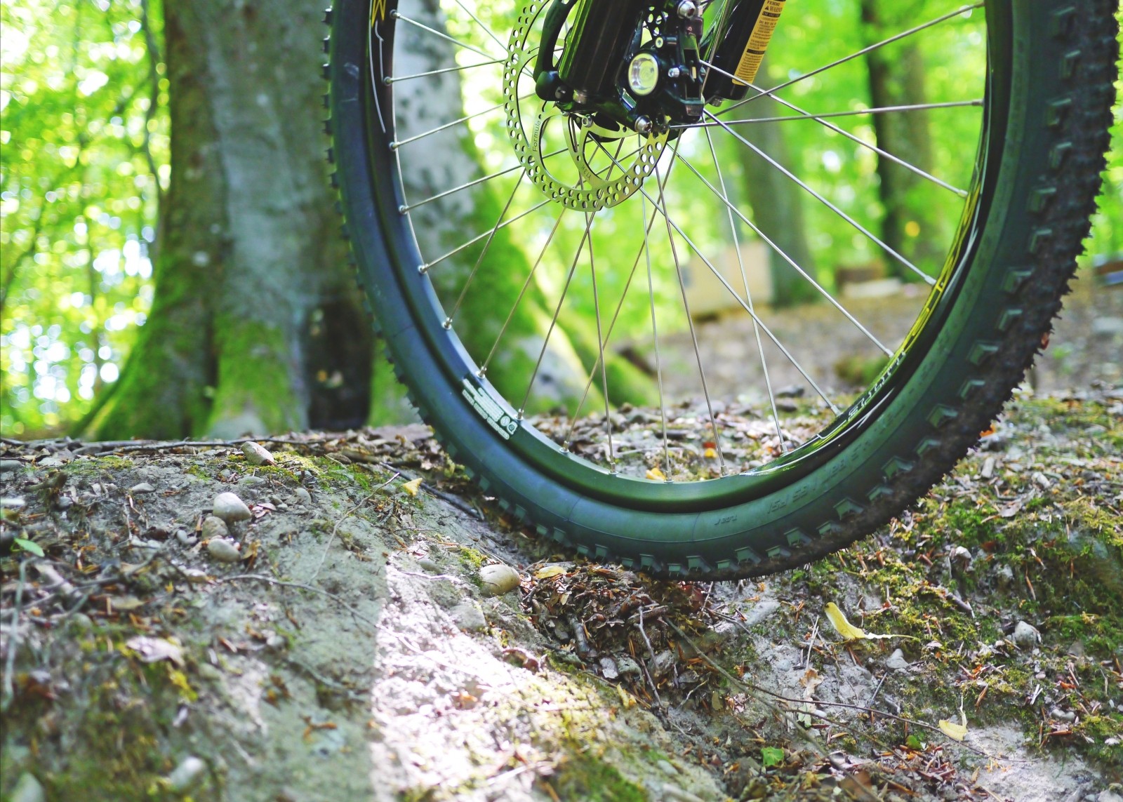 mountain-bike-bike-cycling-wheel-activity-sport